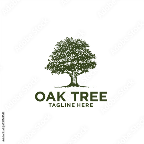 oak tree logo design template silhouette vector