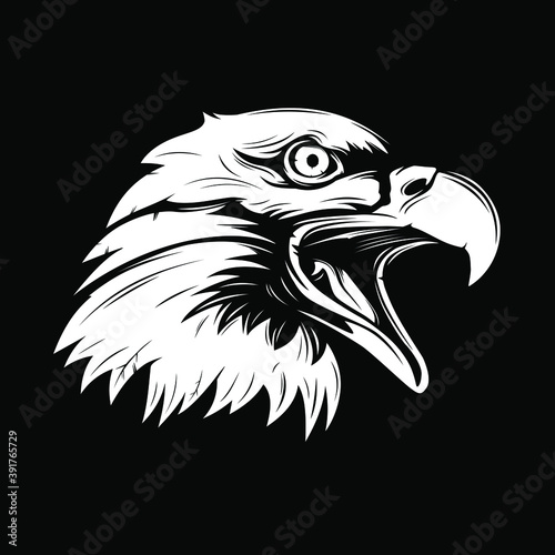 Eagle emblem isolated on white vector illustration. World symbol of freedom. Retro color logo of falcon. Eagle detailed logo.