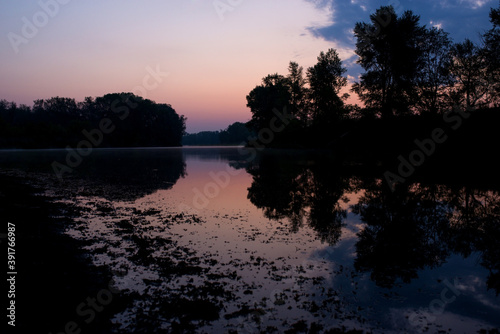 soft pink dawn over a calm lake overgrown with water lilies
