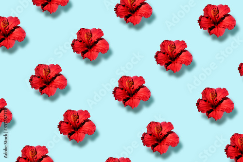 Top view of a trendy pop art pattern of a hibiscus flower. Flat lay