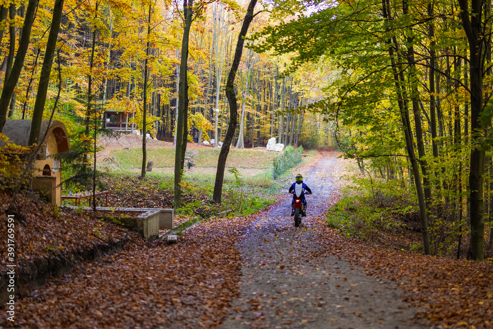 Obraz premium November 7, 2020, images from the enduro motorbike training made in the forest near Pitesti, Romania.