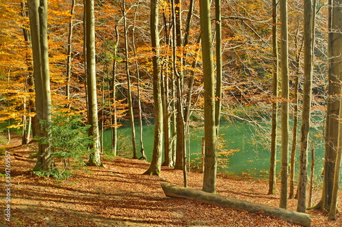 Jeziorka Duszatyńskie  photo
