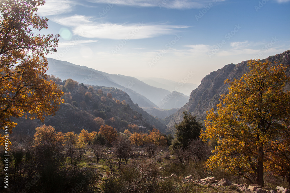 Baskinta Valley Lebanon