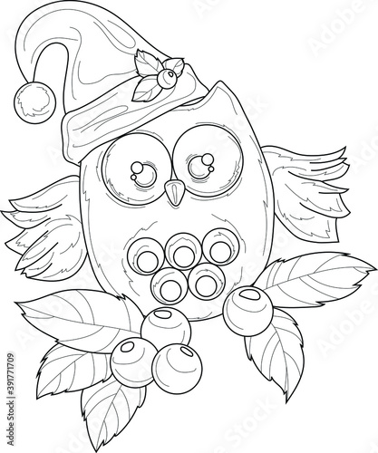 Cartoon cute Christmas owl in winter hat and with mistletoe sketch template. Vector illustration in black and white for games, background, pattern, decor. Coloring paper, page, story book