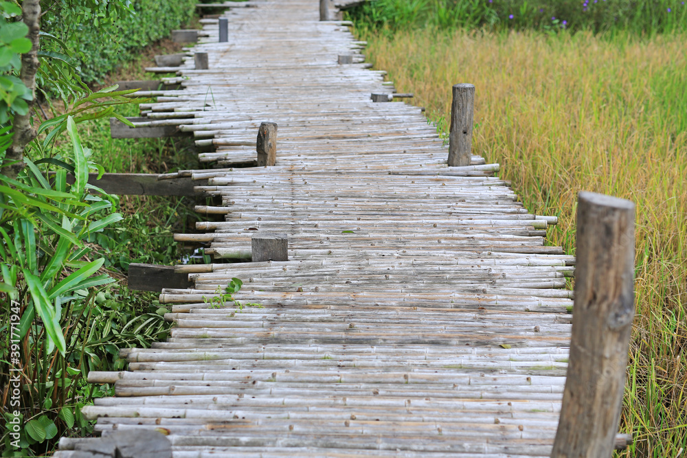 Fototapeta premium Wooden bamboo bridge on rice paddy field.