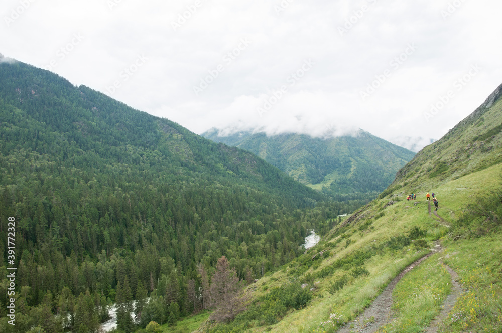 Fototapeta premium Green hills of the Altai Republic on a foggy morning with unrecognizable tourist figures walking along the path, Russian Federation