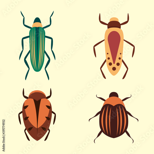Bugs vector icons for web design isolated on white background. Bug and Insect set in cartoon style.