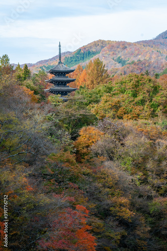 定義の五重塔 紅葉