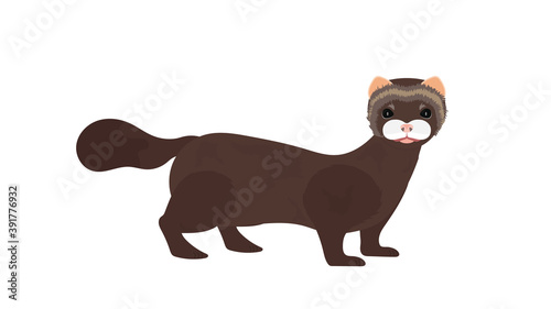 Brown mink. Mink in a flat style. Isolated, vector.