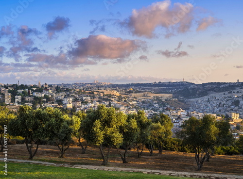 Panorama of Jerusalem with olive trees - from Abu Tor and Mount Zion, across the Old city with Dome of the Rock on the Temple Mount, Hebrew University on Mount Scopus, to the Mount of Olives