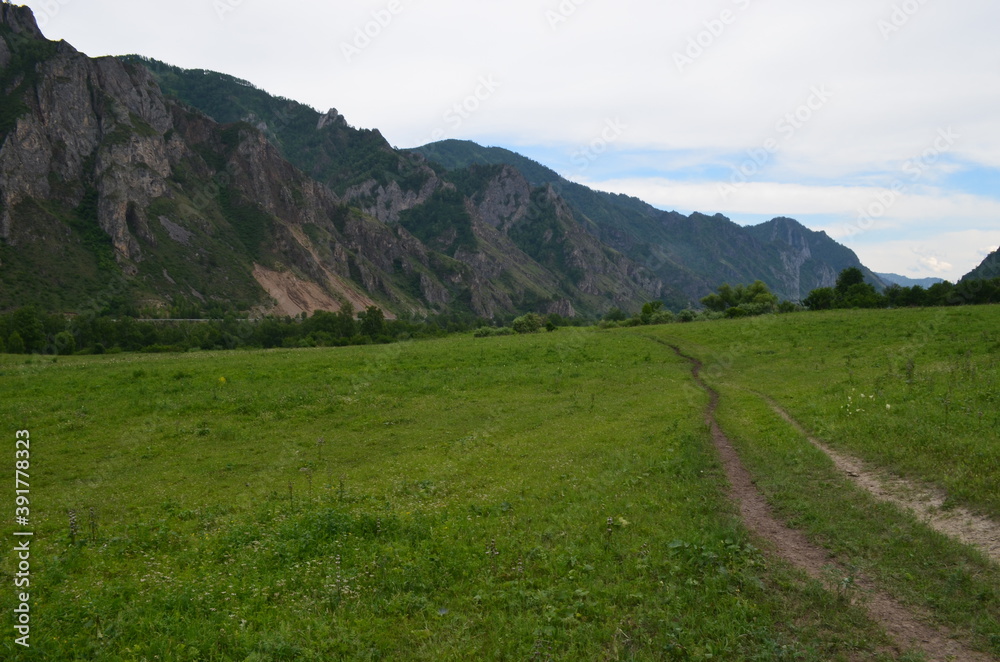 Fototapeta premium landscape in the mountains