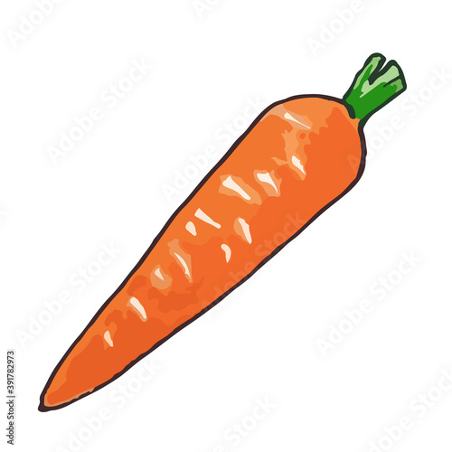 Orange carrots. Volumetric drawing by hand, vector.