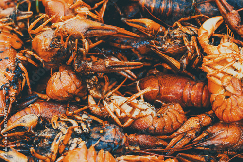 Boiled crayfish. Street food festival