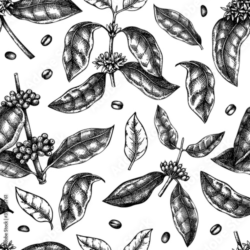 Hand sketched coffee plant seamless pattern. Vector background with hand drawn leaves, flowers, beans and fruits illustrations. For packaging, wrapping paper, brands, fabrics.