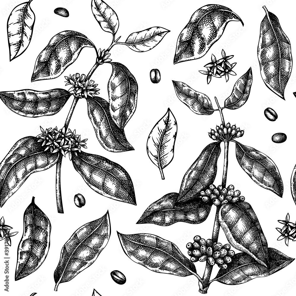 Hand sketched coffee seamless pattern. Vector background with hand