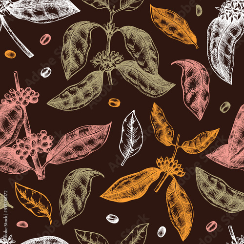 Hand sketched coffee plant seamless pattern. Vector background with hand drawn leaves, flowers, beans and fruits illustrations. For packaging, wrapping paper, brands, fabrics.