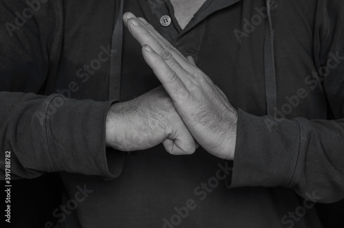 Kung Fu Hand Salutation with fist and palm. photo