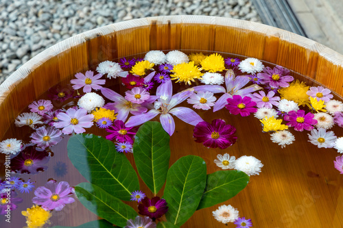 Fotografía 水に浮かぶ花々で占う山寺立石寺の花占い