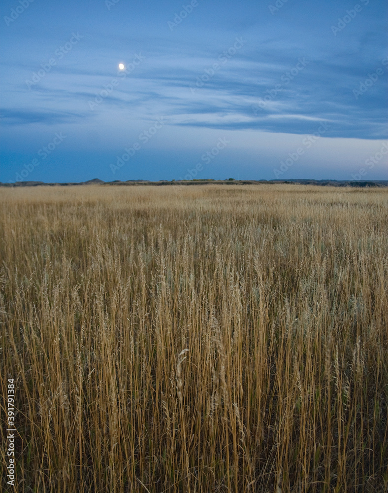 478-26 Grasslands and Moonrise, Theodore Roosevelt National Park
