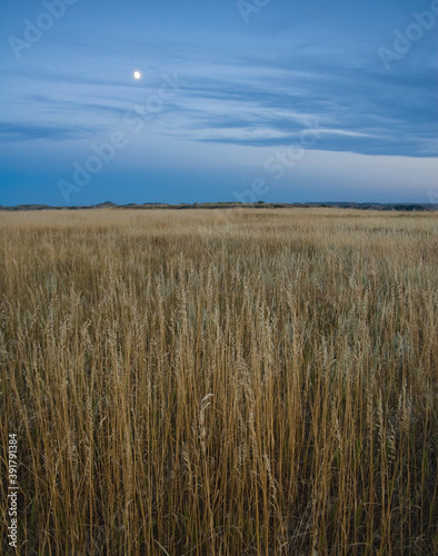 478-26 Grasslands and Moonrise  Theodore Roosevelt National Park