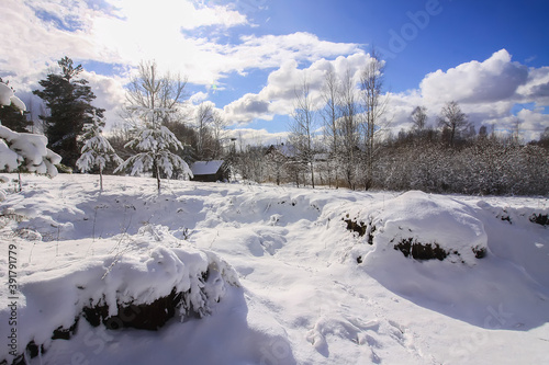 Fototapeta Naklejka Na Ścianę i Meble -  Winter landscape with forest trees and snow covered field