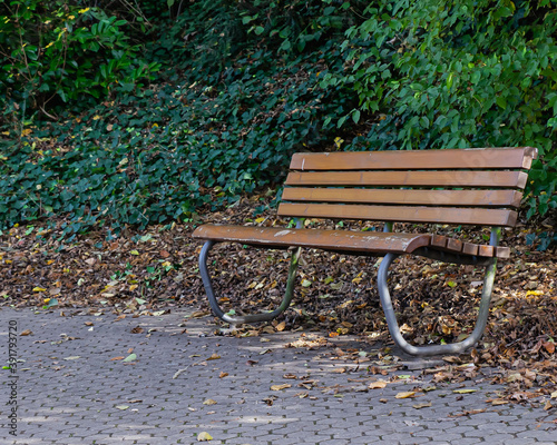 Obraz na płótnie Parkbank w salonie