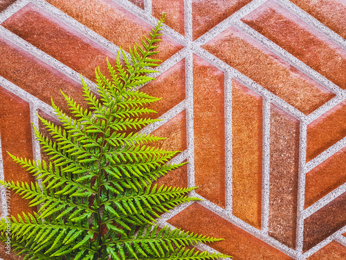 Green fern leaves on the ceramic wall. Natural house concept. Leaves texture on the brick.  photo