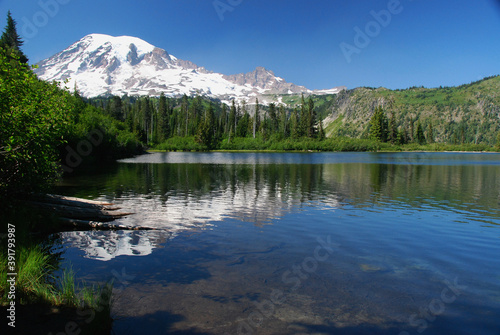 Mount Rainier National Park  USA  July  2013