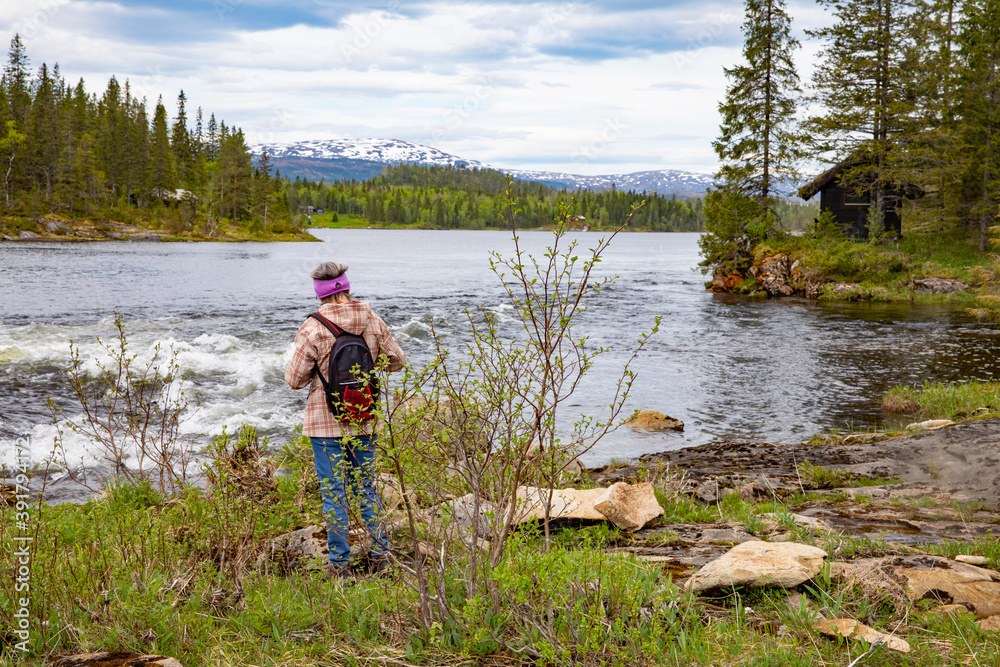 Woman hiking in the forest,Helgeland,Nordland ,Norway,scandinavia,Europe