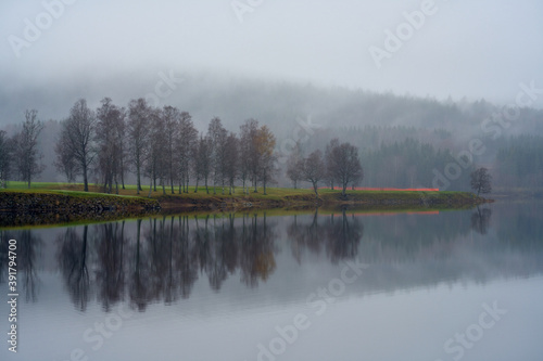 In the misty morning.  photo