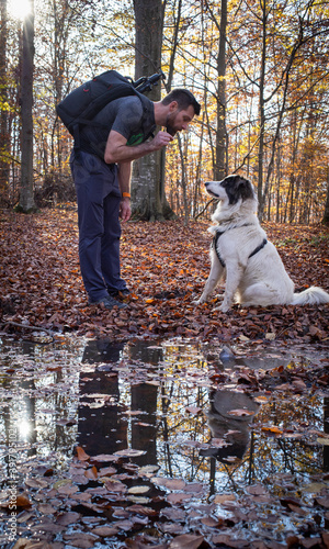 Wallpaper Mural man and his shepherd dog in autumn forest Torontodigital.ca