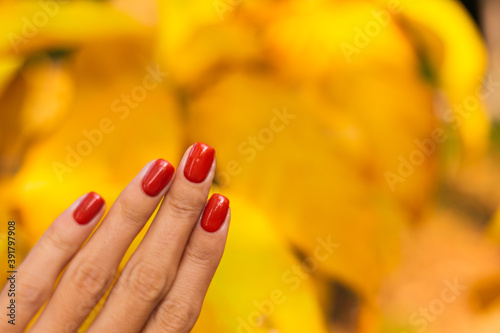 Close outdoor shot of womans hands in park orange color manicure  autumn mood. 