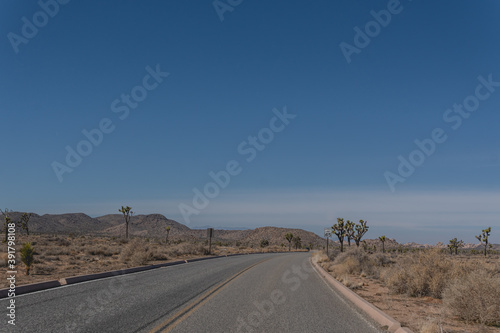 Twentynine Palms Highway, otherwise known as route 62, is the main road that runs parallel to Joshua Tree National Park.  photo