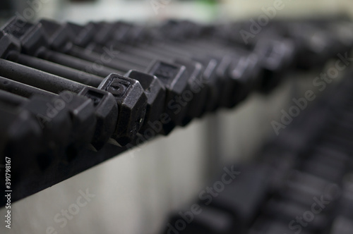 small and light dumbbells on a rack in a sports fitness room.