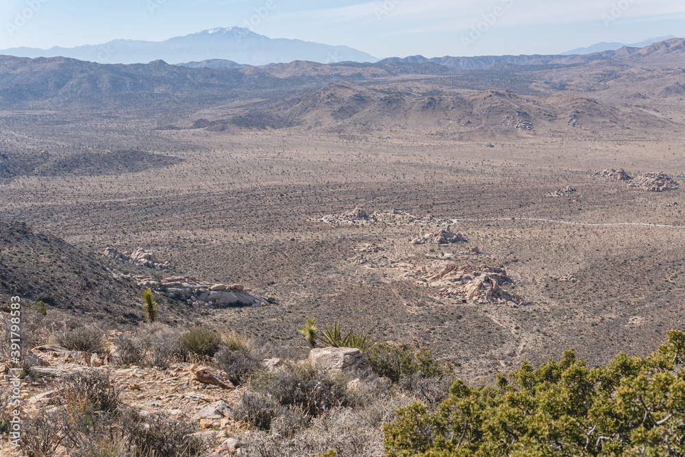 Joshua Tree National Park is geographically diverse desert wilderness , ranging from lush green desert plants to dry and barren grounds that stretch for miles.