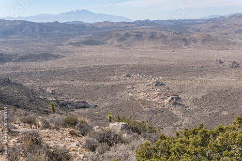 Joshua Tree National Park is geographically diverse desert wilderness , ranging from lush green desert plants to dry and barren grounds that stretch for miles. photo