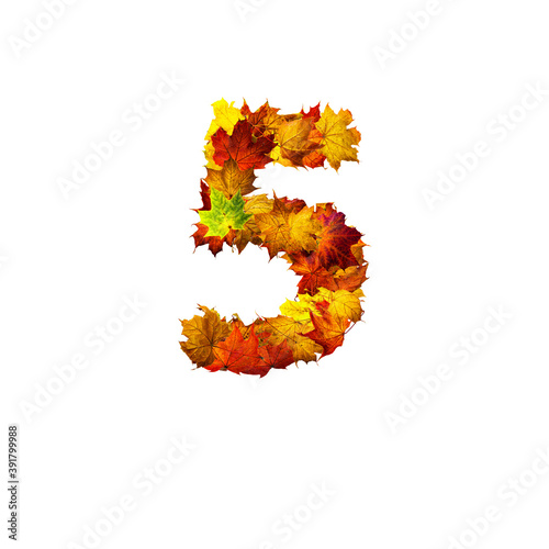 Colorful autumn leaves isolated on white background as number five.