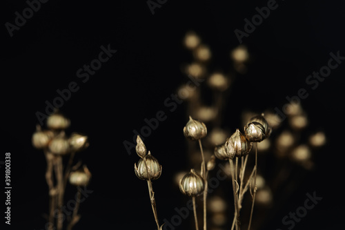 Shining golden particles abstract background. Blurred bokeh background of gold dust particles slowly floating in the air. Magical fairy background. festive golden dark background.