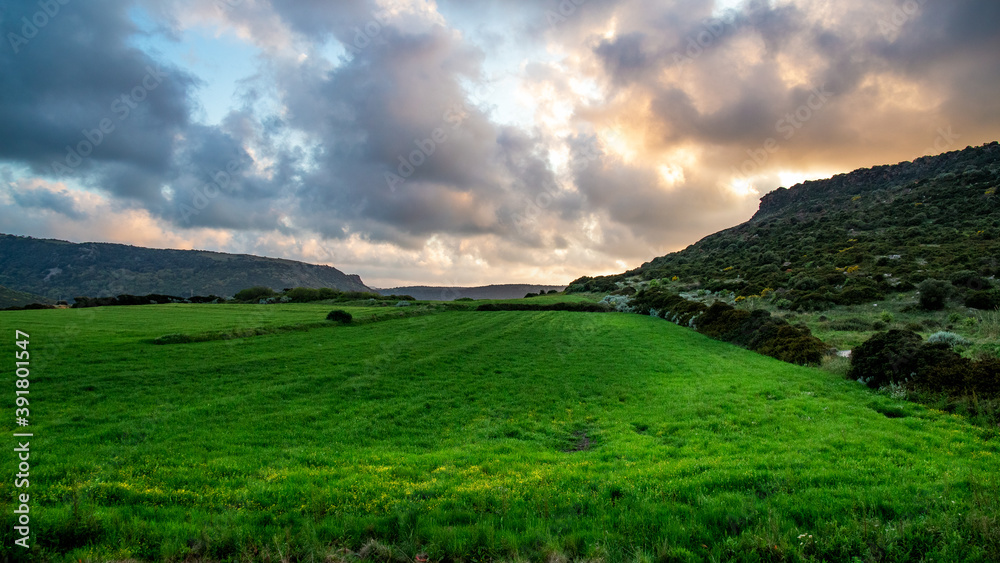 Panoramic view of a vivid green field near Castelsardo at sunset, with dramatic clouds and mountains