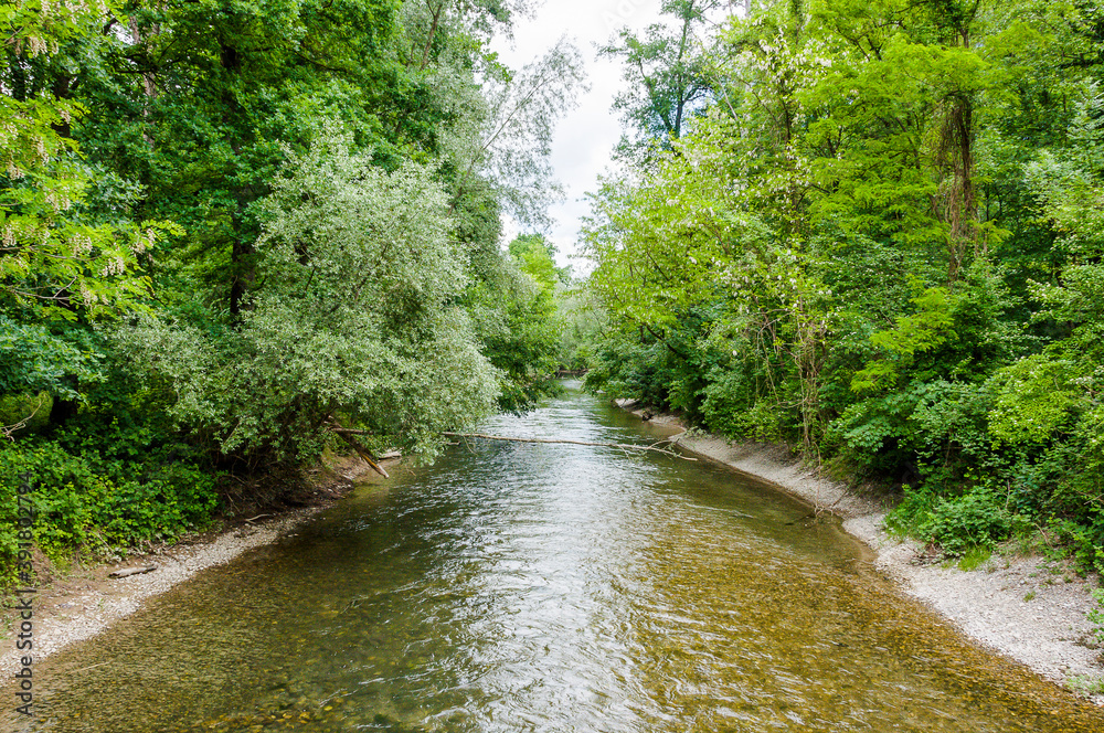 Brugg, Wasserschloss, Flusslandschaft, Aare, Fluss, Aareuferschutzgebiet, Wald, Waldweg, Brückenwanderung, Auenschutzpark, Aargau, Sommer, Schweiz Brugg, Wasserschloss, Flusslandschaft, Aare, Fluss, Aareuferschutzgebiet, Wald, Waldweg, Brückenwanderung, Auenschutzpark, Aargau, Sommer, Schweiz