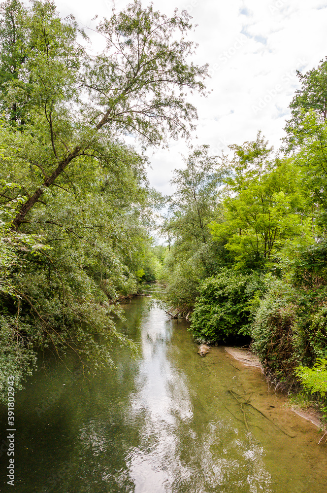 Obraz premium Brugg, Wasserschloss, Flusslandschaft, Aare, Fluss, Aareuferschutzgebiet, Wald, Waldweg, Brückenwanderung, Auenschutzpark, Aargau, Sommer, Schweiz