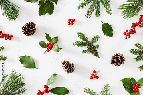 Bild auf Leinwand Collection of decorative Christmas plants with green leaves and holly berries