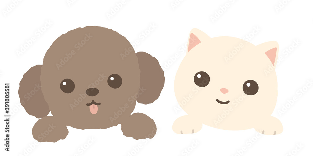 仲良しの犬と猫 顔 カメラ目線 背景白 仲良しの犬と猫 顔 カメラ目線 背景白