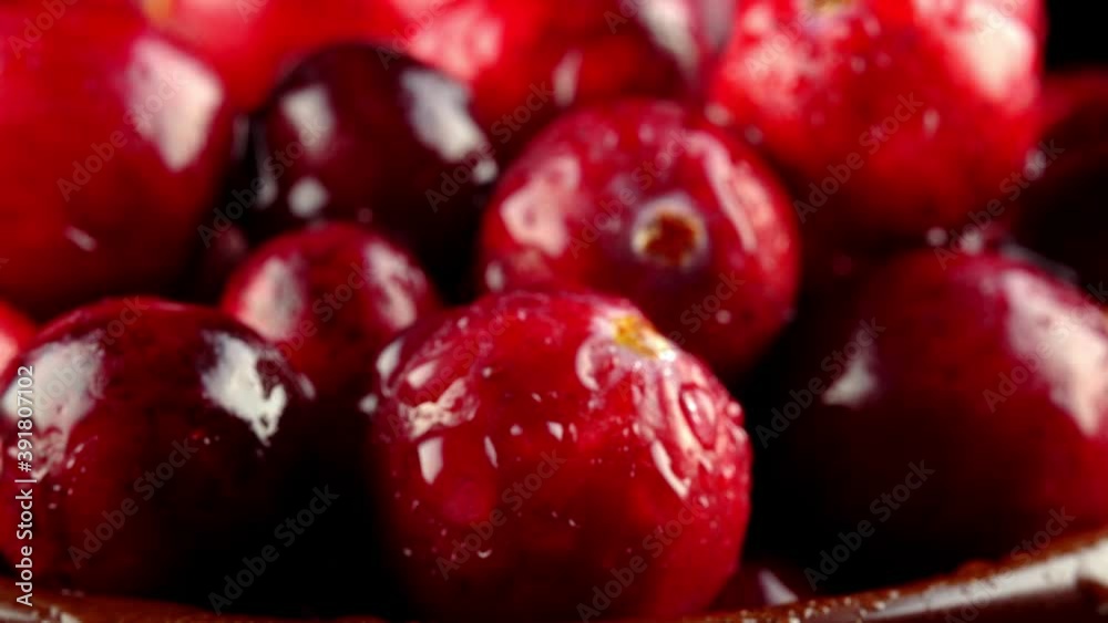 Macro view of fresh ripe cranberries. Macro view of fresh ripe cranberries.