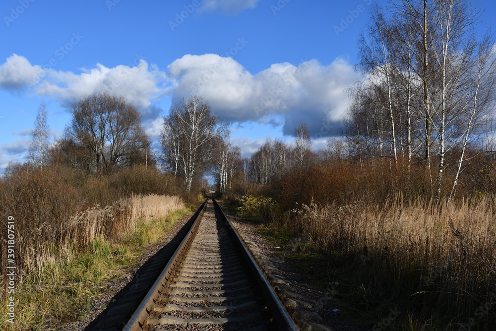 A narrow-gauge railway close-up extending into the distance. Bare trees and bushes along the railway.
