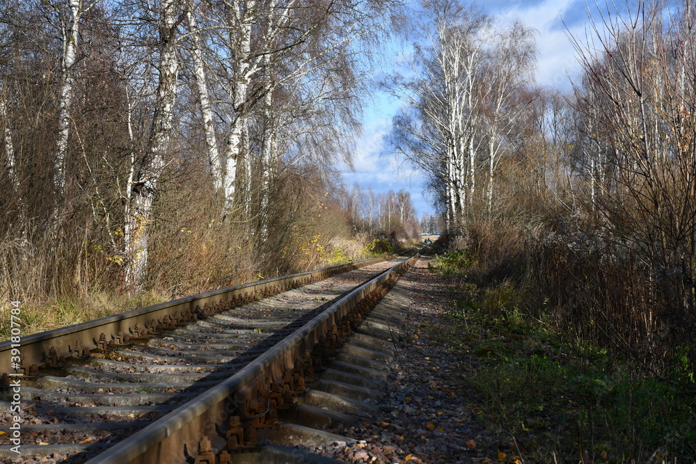 A narrow-gauge railway close-up extending into the distance. Bare trees and bushes along the railway. A narrow-gauge railway close-up extending into the distance. Bare trees and bushes along the railway.