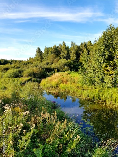 Fototapeta Naklejka Na Ścianę i Meble -  River in the woods in countryside Estonia