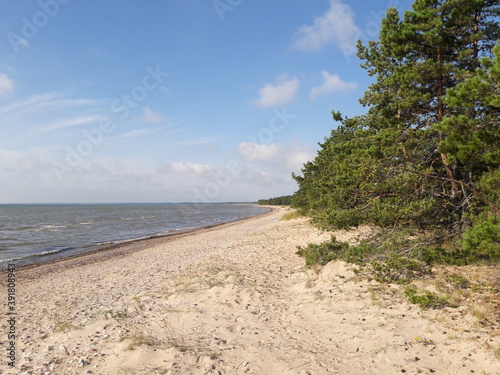 Fototapeta Naklejka Na Ścianę i Meble -  Estonia Island Saaremaa coast beach