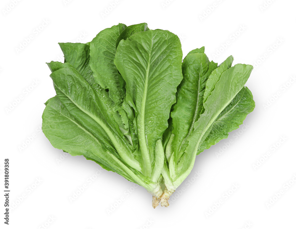 lettuce leaves isolated on white background with clipping path. lettuce leaves isolated on white background with clipping path.