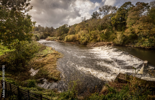 Billede på lærred Beam weir on the River Torridge near Torrington, viewed from the Tarka Trail, in North Devon, England